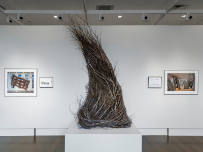 Patrick Dougherty insert 1