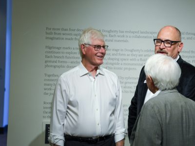 Patrick Dougherty insert 2