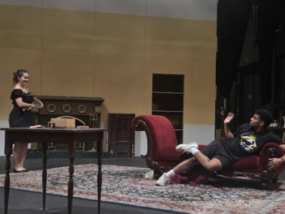 Inspector Hound insert 2