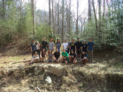 Live staking insert 1