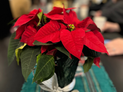 Celebration of Excellence 2025