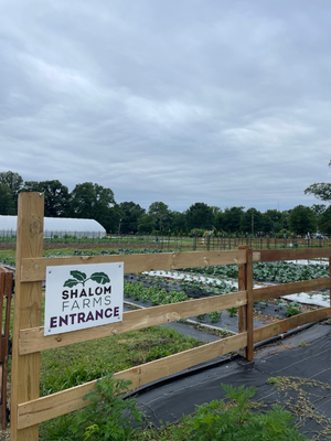 Shalom Farms insert 2