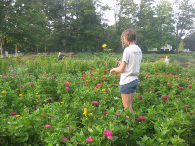Sophie Schneider at Barbart Hill farm