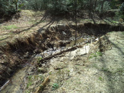 stream restoration insert 3