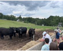 Frontline to Farm Beginner Farmer Training thumbnail 2026 Frontline to Farm Beginner Farmer Training thumbnail 2026