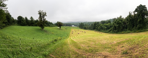 Farm panorama