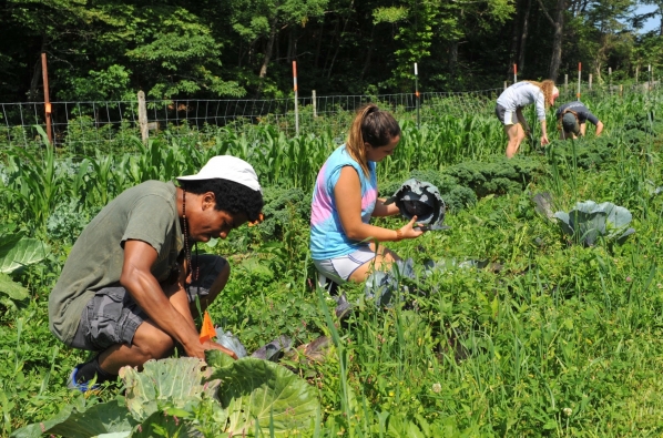 Students work on the farm
