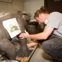 An art student works on the aetosaur