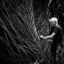 Patrick Dougherty thumbnail