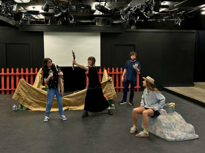 Tomato Plant Girl insert 1