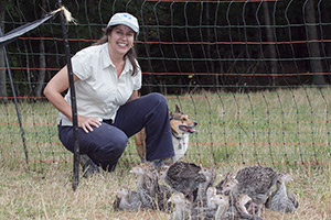 Assistant Professor Anne Fanatico has received a USDA NIFA Beginning Farmer and Rancher Development Program grant as a collaborator with the University of Arkansas. She will use the funding to create online modules related to integrating pastured poultry farming into grazing animal operations for small farmers. Fanatico teaches in Appalachian State University’s Goodnight Family Sustainable Development Department. (Photo by Marie Freeman)